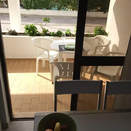 Fully Renovated Appartement