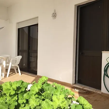 Fully Renovated 公寓 阿尔布费拉